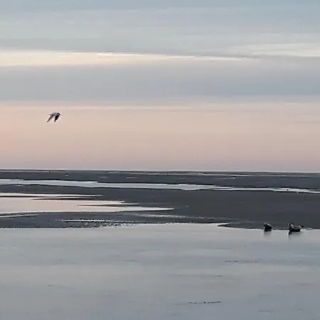 דירה Vue Exceptionnelle Sur La Baie De Somme סן-ואלרי-סור-סום