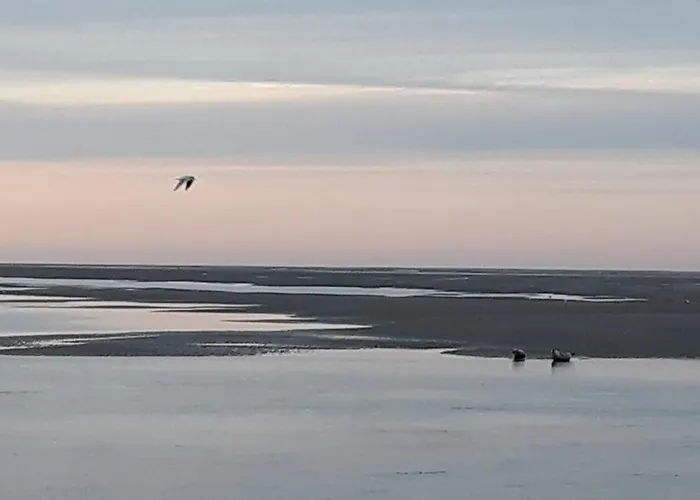 Apartment Vue Exceptionnelle Sur La Baie De Somme Saint-Valery-sur-Somme