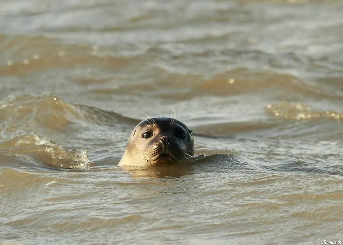 Vue Exceptionnelle Sur La Baie De Somme Apartment